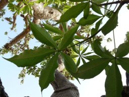 268515_10150257960934901_462913_n